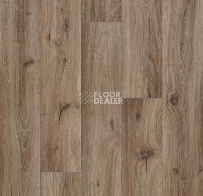 Линолеум Forbo Eternal Wood 10852 chocolate oak фото 1 | FLOORDEALER